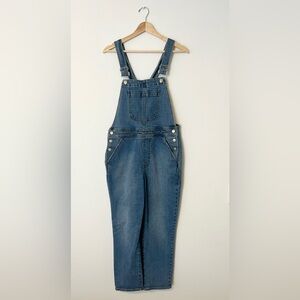 J.Crew denim overalls
